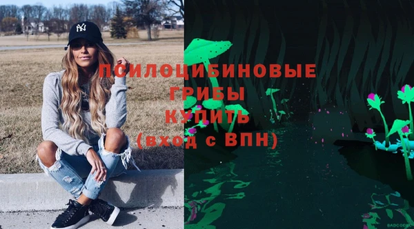 твердый Белокуриха